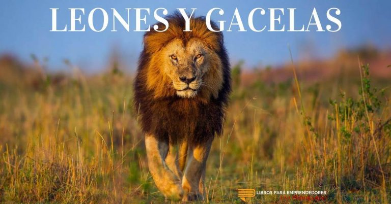 Leones y Gacelas